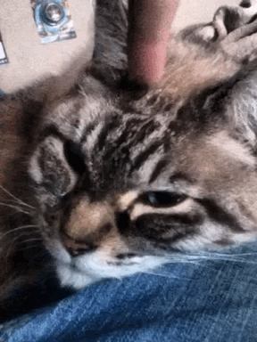 My son Paul made this GIF